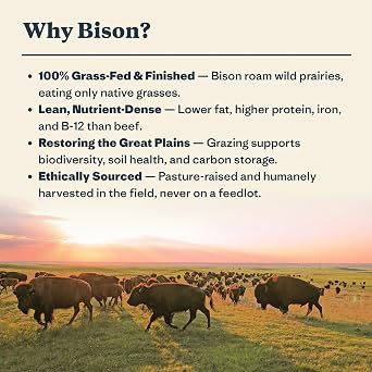 Patagonia Provisions Bison Sticks 24-Pack - Ranch, Jalapeno - Responsibly Sourced, Healthy High Protein Snack