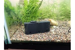 Planaria Trap: An Effective Leech & Flatworm Catcher for Aquariums