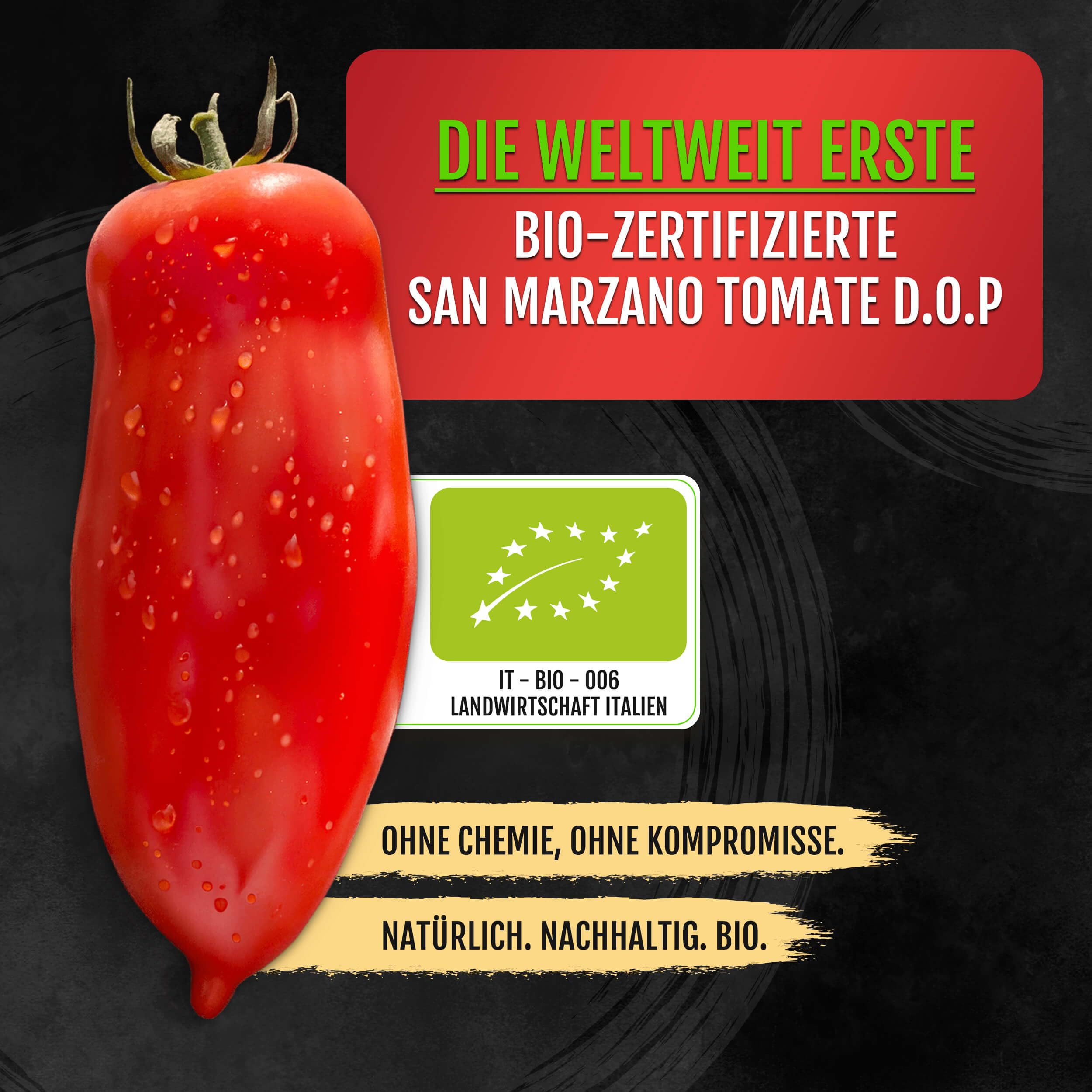 DELICRET - Nolano BIO San Marzano Tomaten DOP – 6x 400g | erste BIO zertifizierte San Marzano weltweit | perfekt für Pizza & Pasta | ganze geschälte Tomaten vom Vesuv (6x 400g)