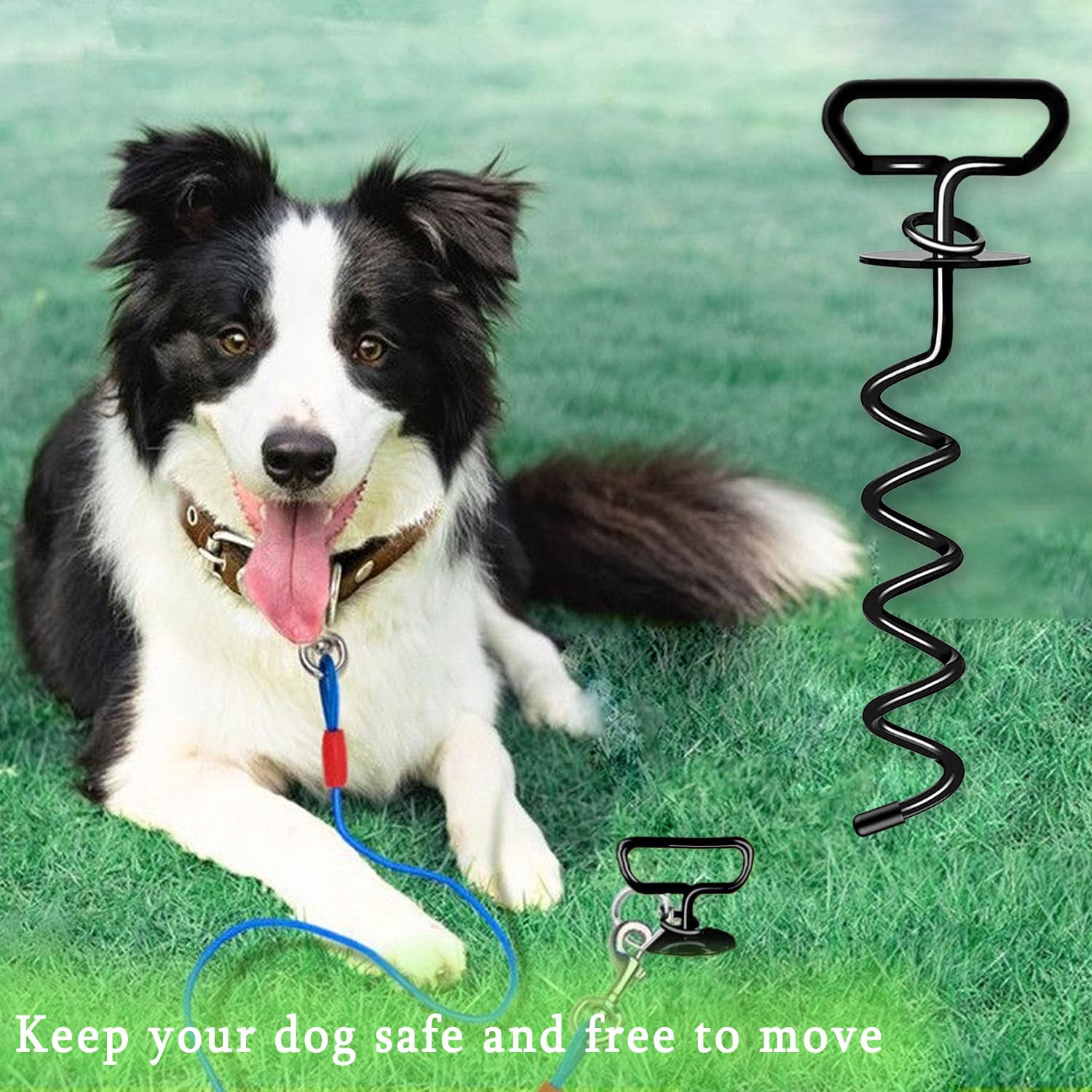 Ancoraggio a Terra per Cani, Picchetto a Vite con Testa a Spirale, Senza Grovigli, Robusto Palo per Cani per Giardino, Prato, all'aperto