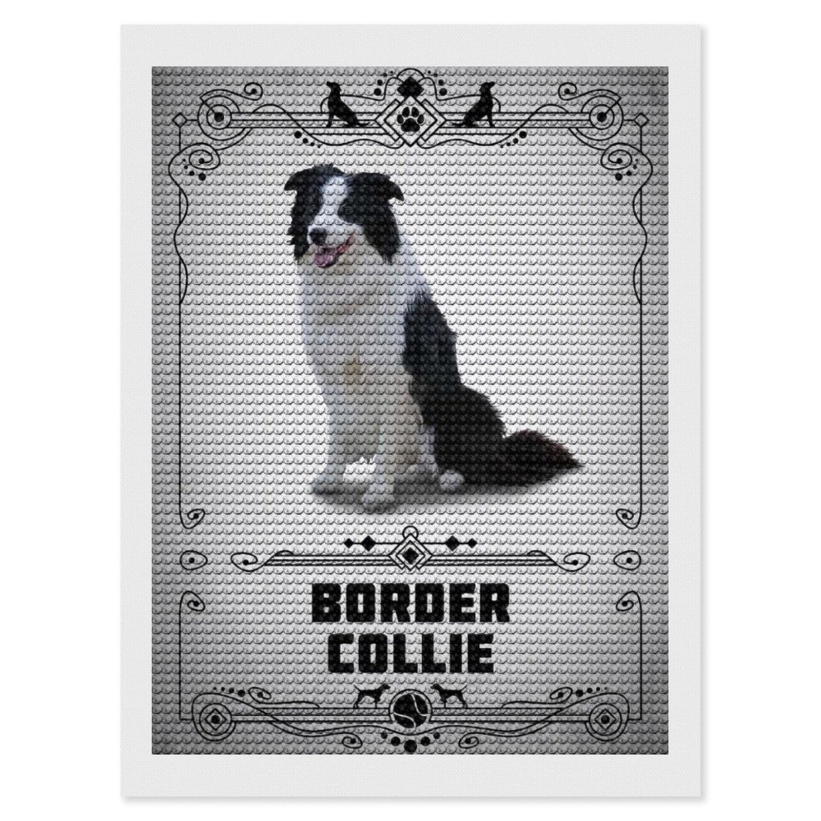 Junmoney Border Collie Diamond Art Canvas 12"x16", for Adults, Pleasing Wall Art Project, Modern Decor, Gift Idea, Nice Detail and Sparkle