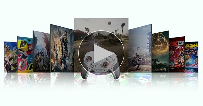 Amazon.com: BIGBIG WON BLITZ2 Wireless Controller, 16 Fully