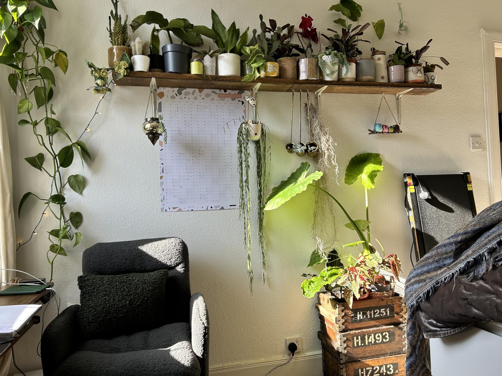 Customer photo