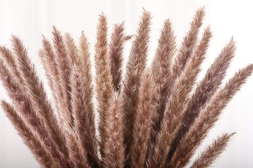Miniatura 5 de Allure Life Regalos  Decoración de hierba seca de las pampas 30 piezas de 19 pulgadas de alto flores secas para decoración de césped pomposo floral