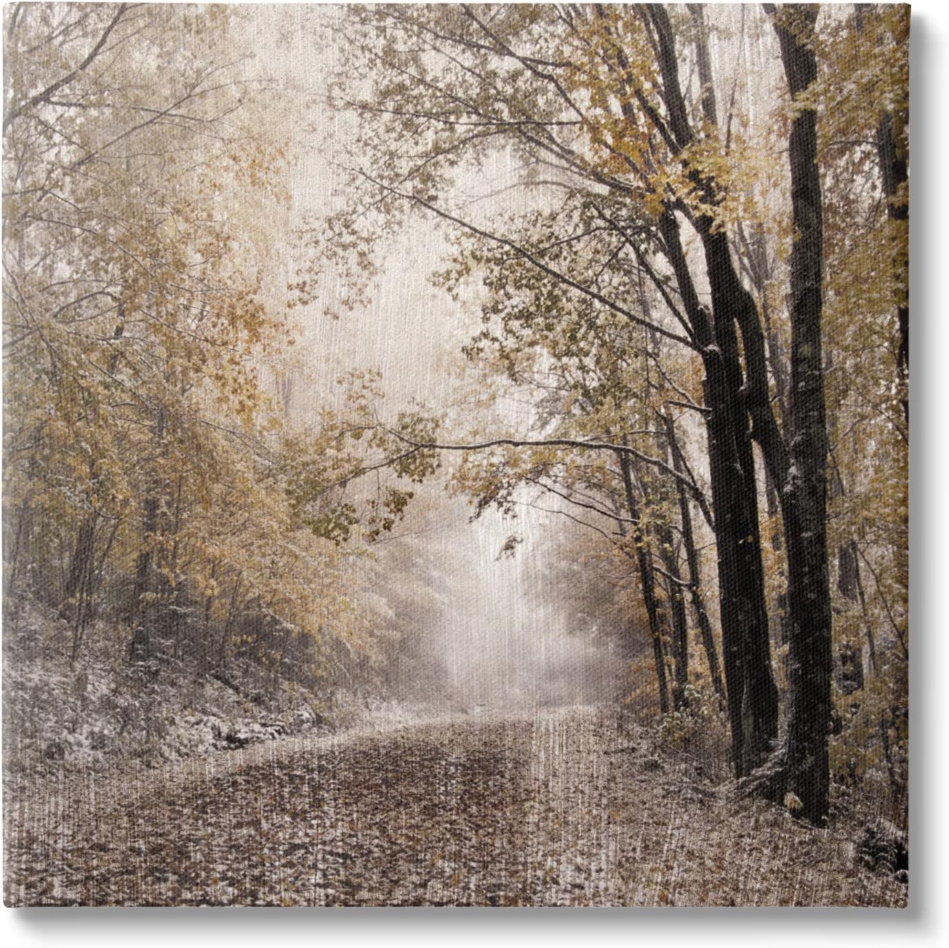 Stupell Industries Sunlit Woodland Nature Trail Canvas Wall Art, Design by Danita Delimont