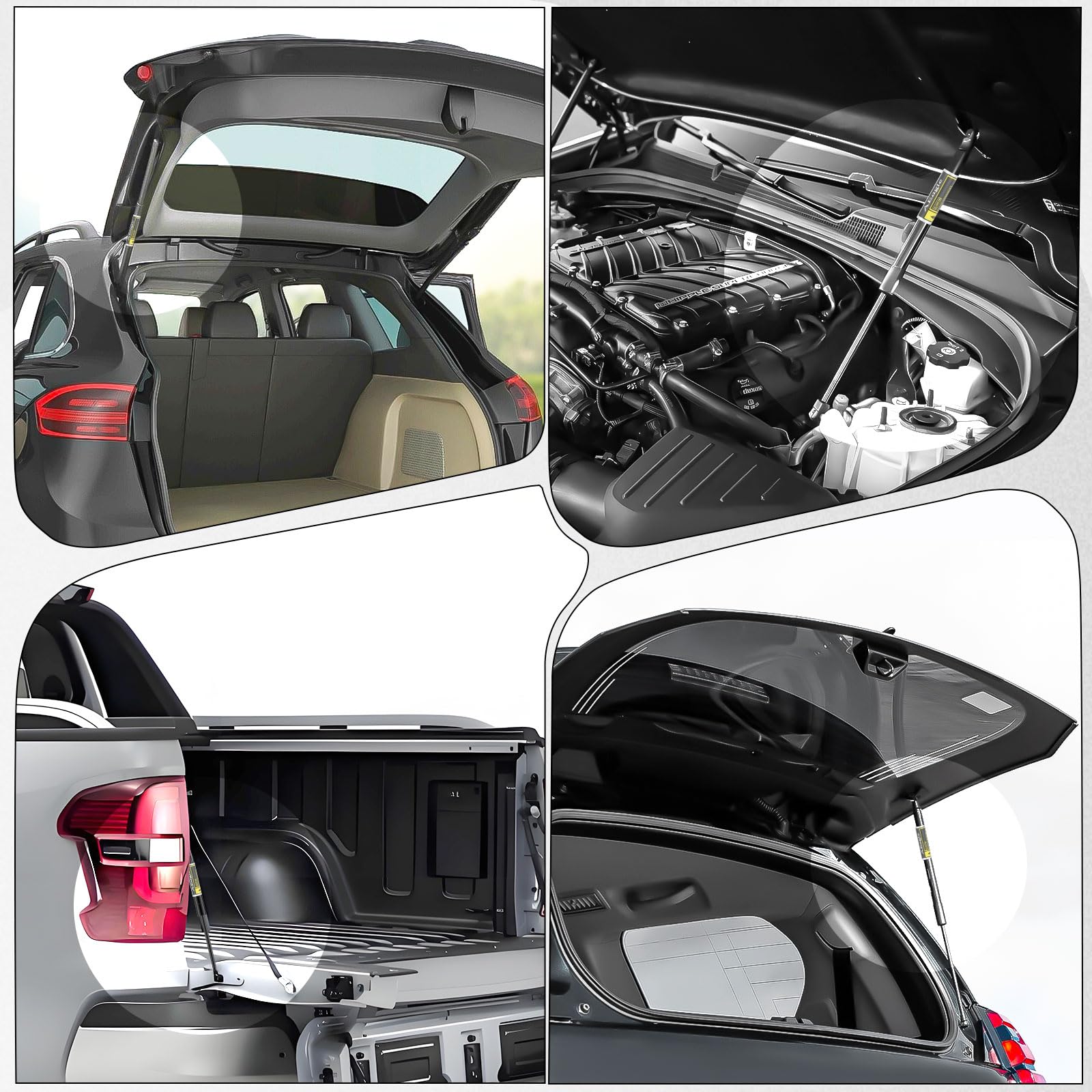 Amazon.com: Front Hood Lift Supports Struts Shocks for 2002