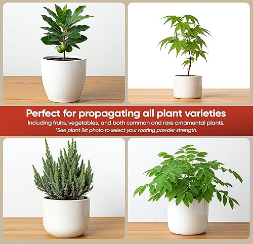 Miniatura 5 de Hormona de enraizamiento Hormex en polvo  Múltiples fortalezas  Polvo de hormona de enraizamiento IBA más rápido para raíces fuertes y saludables