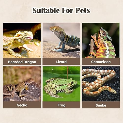 PINVNBY Reptile Resin Dinosaur Skull Decor,Crested Gecko Tank Accessories Hide Artificial Sabertooth Tiger Skull Skeleton Climbing Hideout Cave Landscape Decorations