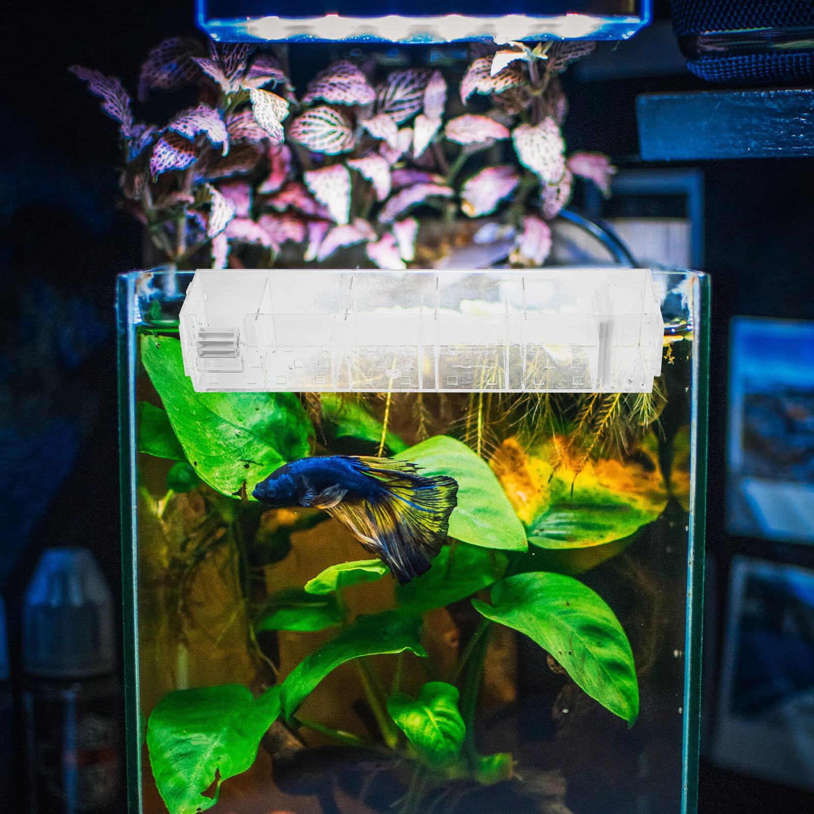 Mobestech Filtro Externo para Acuario Caja de Filtración Colgante con Bomba Integrada, Seis Compartimentos, Filtro Multifuncional Silencioso para Peceras, Caja de Goteo Acrílica
