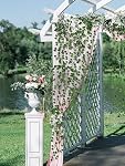 Kalolary 258 Ft 36 Strands Artificial Ivy Garland Leaves Vines Plants Greenery Fake Plants Hanging for Wedding Canvas Background Arch Wall Jungle Table Party Office Decoration (Scindapsus)