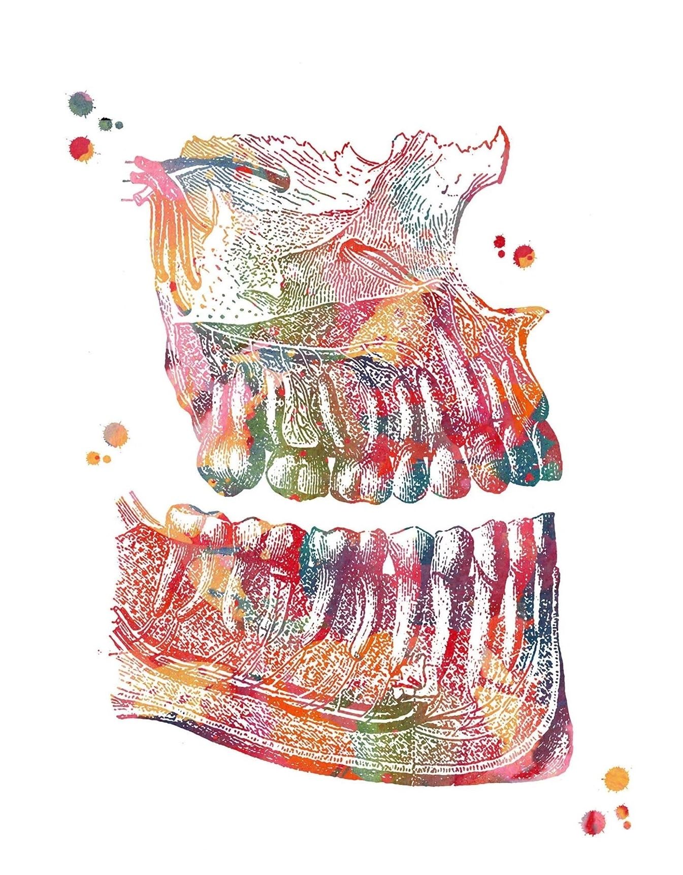 Cartel de arte dental con implantes para decoracion de la clinica del hospital