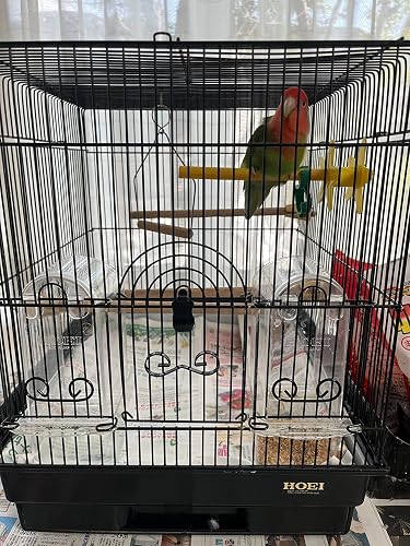 Amazon | ホーエイ 鳥かご 35角型 ブラック | ホーエイ | 鳥かご