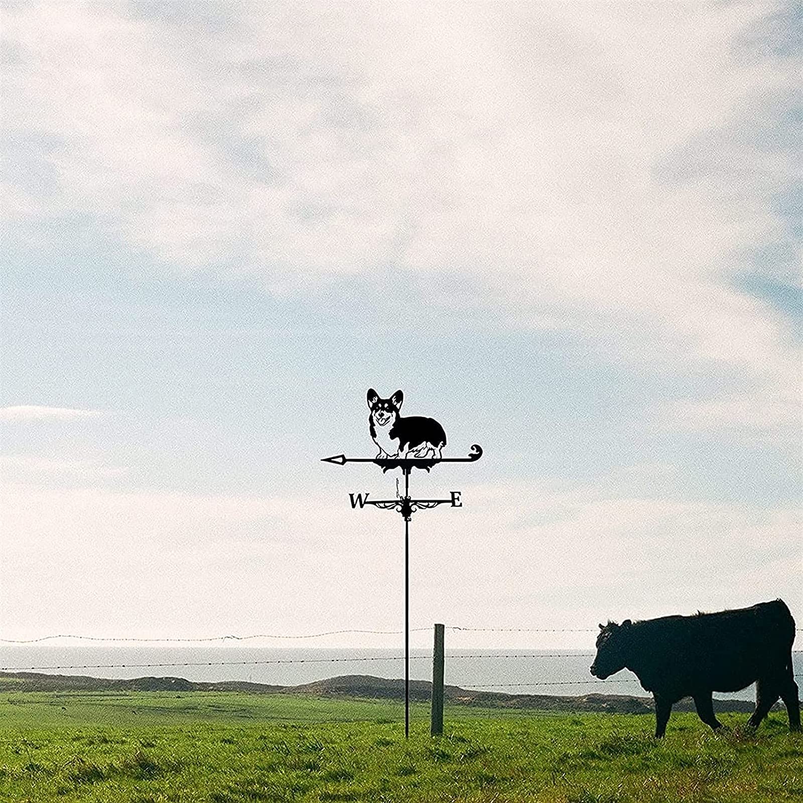 Girouette de ferme à fixer sur le toit, décoration de jardin, indicateur d