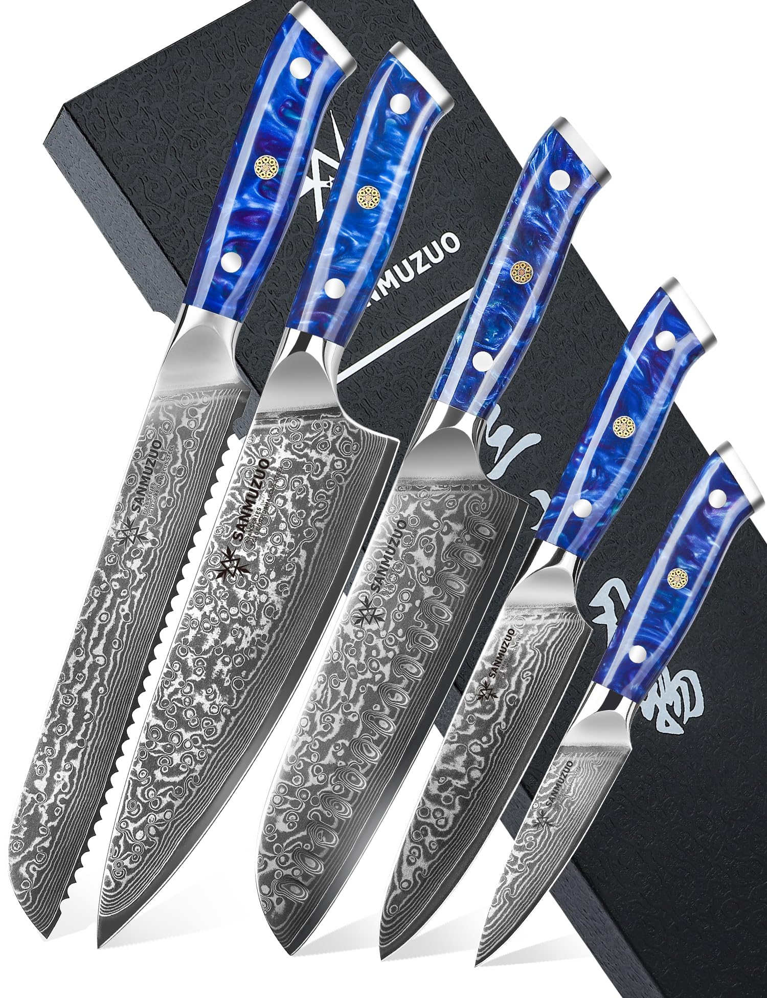 5 Pezzi Set di Coltelli da Cucina, Coltello da Chef Acciaio Damasco da 67 Strati- Impugnatura Ergonomica Resina - Xuan Series(Blu Zaffiro)