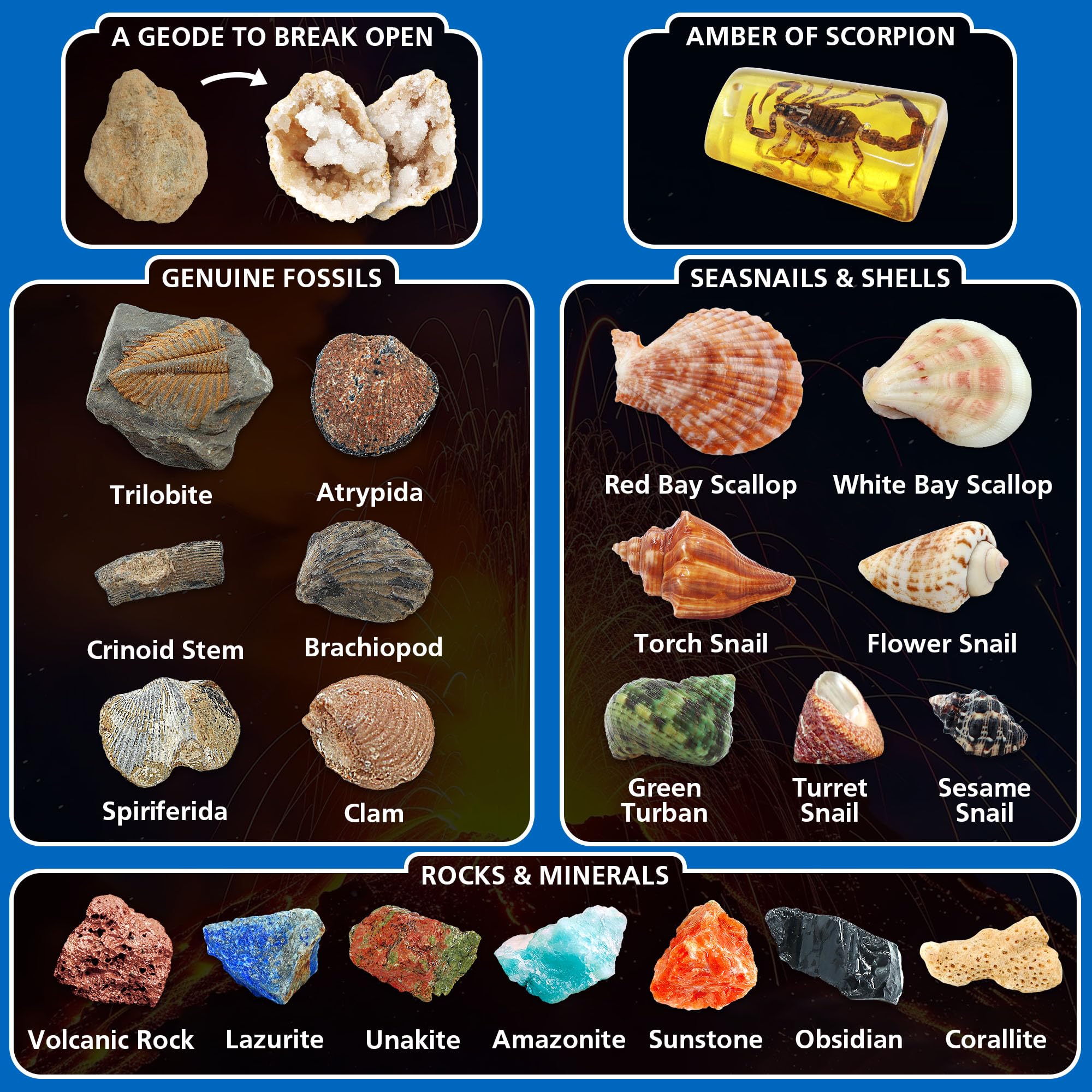 PIBEX Volcano & Ocean Fossil Dig Kit, Dig up 20+ Real Fossils, Rocks, Shells & Sea Snails with Eruption Experiments - Image 4