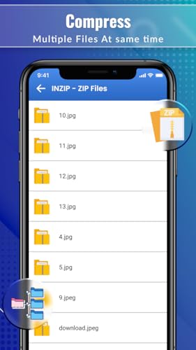 INZIP ZIP Files