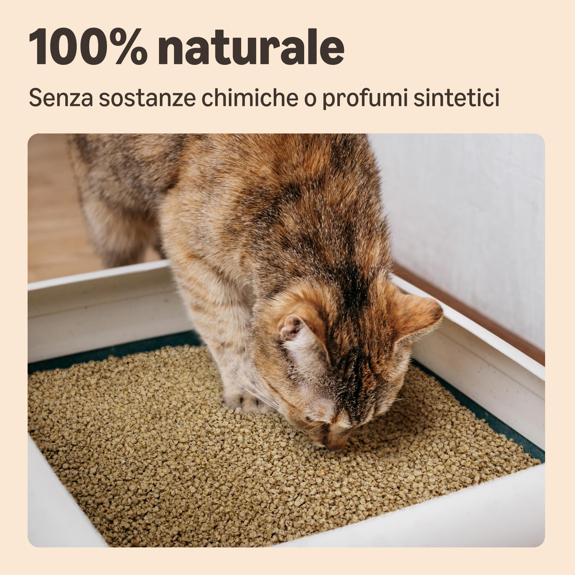 by Amazon Lettiera per Gatti Agglomerante al Mais, 10L (Confezione da 1) (in Precedenza Un Marchio Lifelong, Stesso Prodotto)