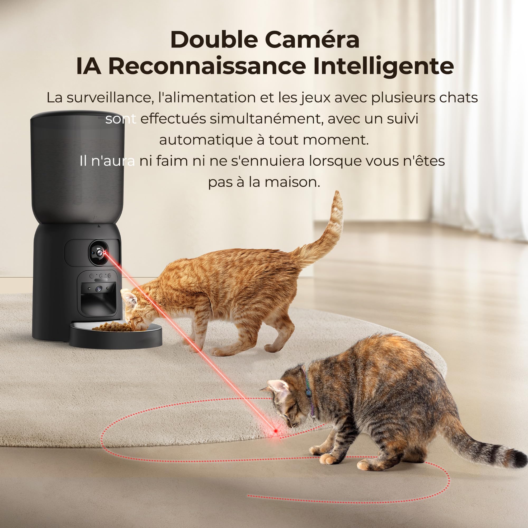 Distributeur Croquettes Chat Automatique, WiFi Caméra, Bol Inoxydable, Programmable & Portionnée, Batterie de Secour - PF4 Noir - Vision Suivi, Mode de Repas Lent