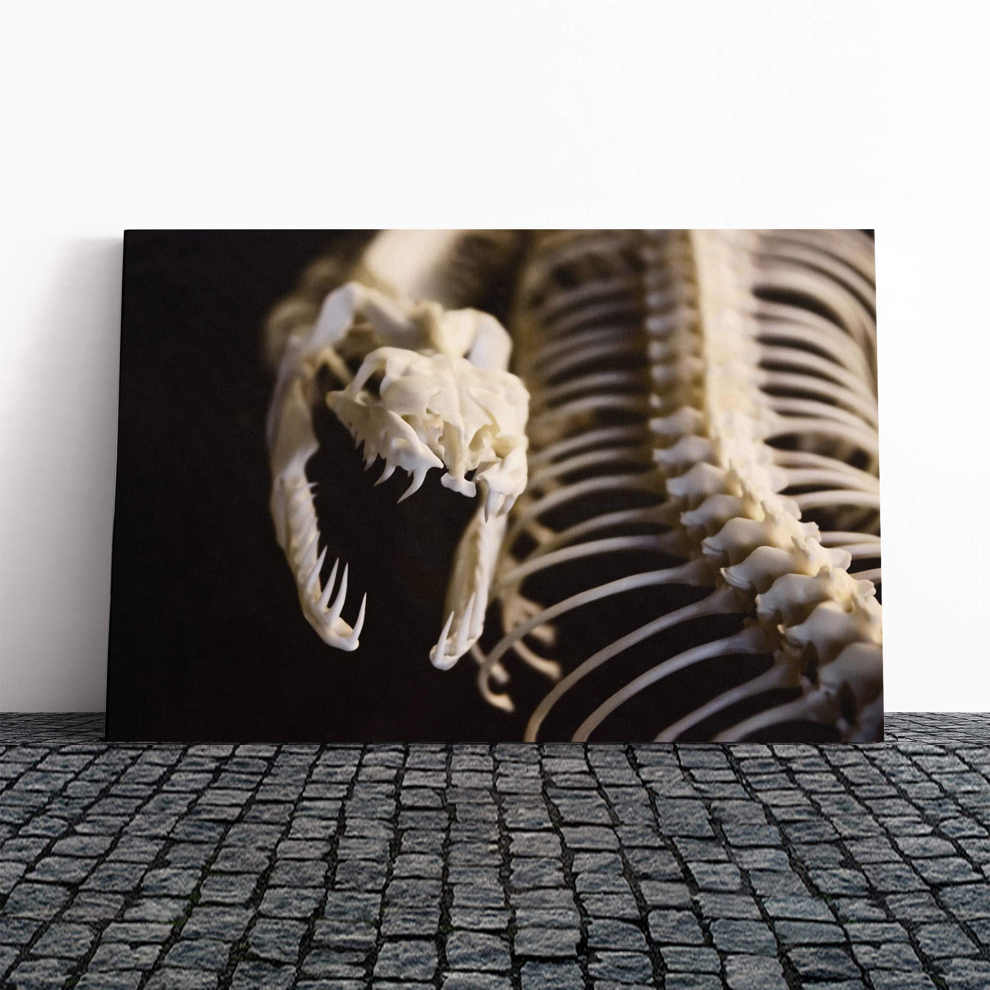 Snake Skeleton Canvas Print | Gallery Wrapped 30mm Frame Wall Art | 24x16 inches | Ready to Hang | Modern Animals Picture | Living Room Bedroom Lounge Office