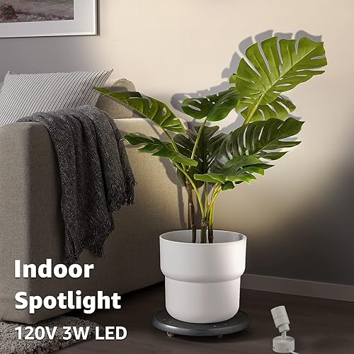 Miniatura 2 de SUNVIE Paquete de 2 luces LED para interiores, focos de 3 W para uso en interiores con blanco cálido de 3000 K, focos de 120 V para plantas,