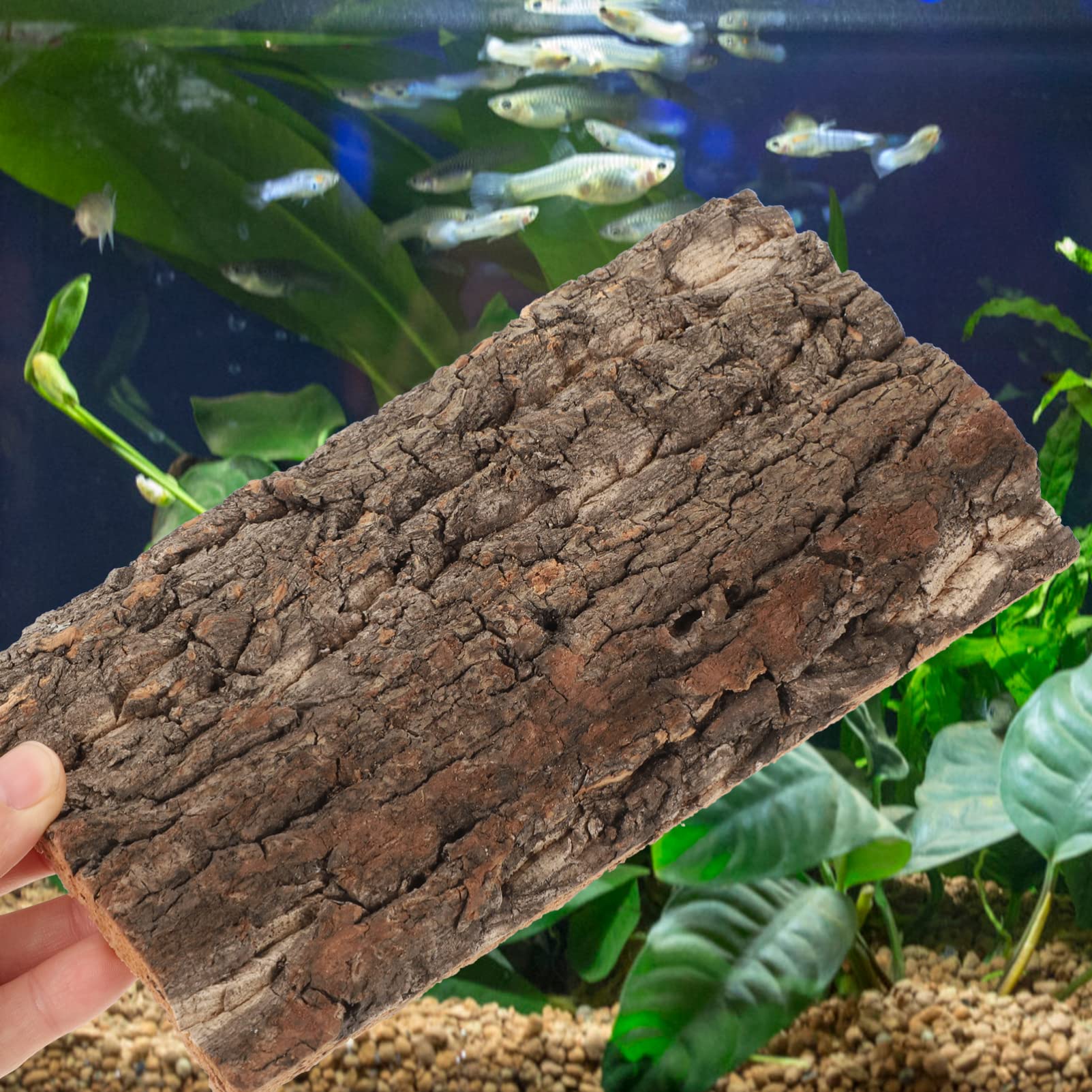 PATKAW 3pcs Fish Tank Landscaping Natural Reptile Tank Decor Decorative Aquarium Bark Aquarium Decor Desk Top Reptile Accessories Climbing Wall Big Fish Natural Cork Bark - Image 2
