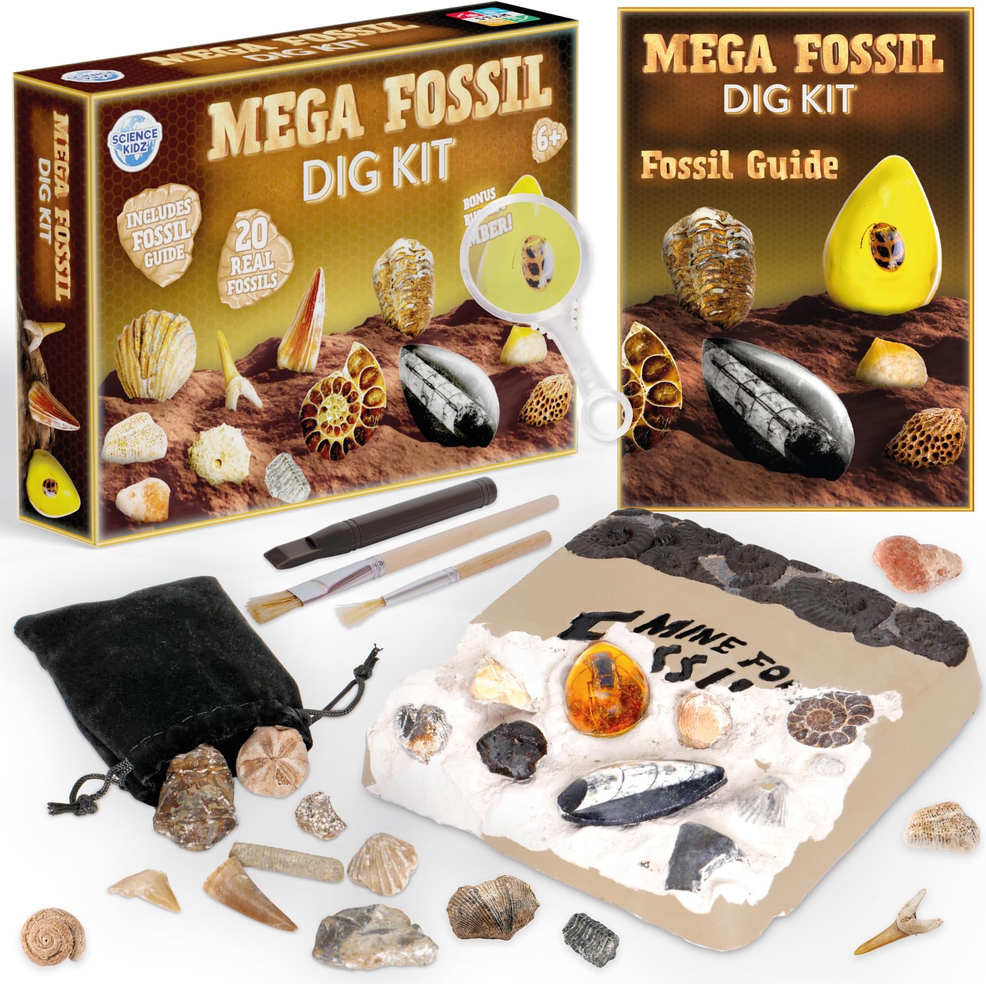 Mega Fossil Dig Kit - Excavate 20 Genuine Prehistoric Fossils, Fossil Hunting Kit For Kids, Educational STEM Science Kits, Fossil Digging & Excavation Toy
