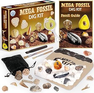 Science Kidz Mega Fossil Dig Kit - Excavate 20 Genuine Prehistoric Fossi...