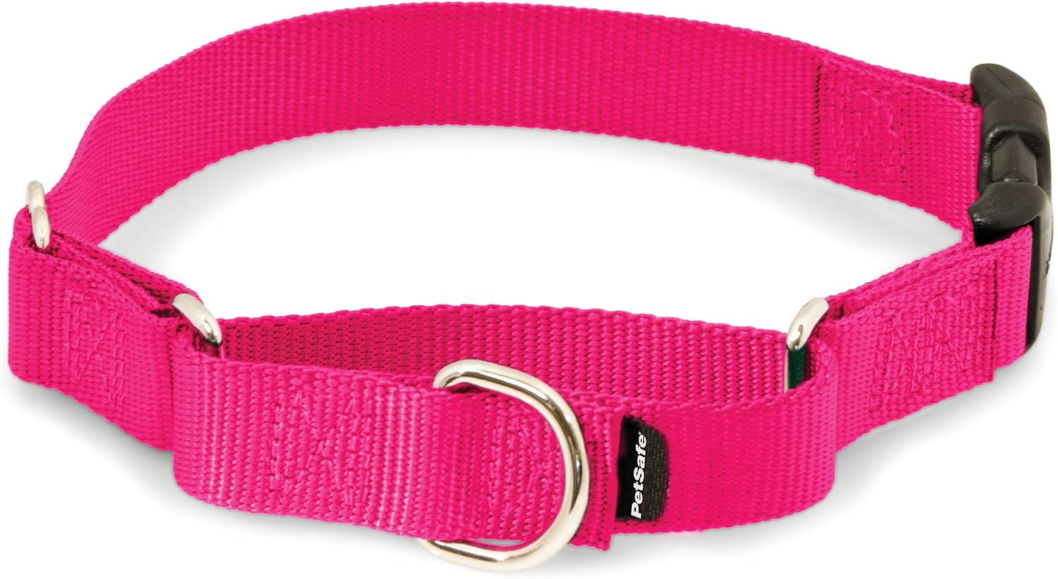 PetSafe Martingale Collar with Quick Snap Buckle, 1" Large, Royal Blue : Everything Else