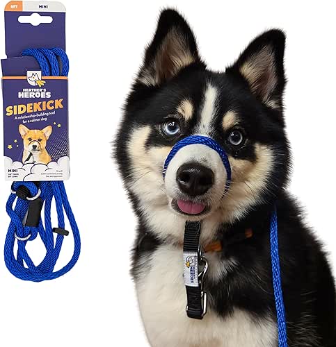 Heather's Heroes The Sidekick No-Pull Leash Blue
