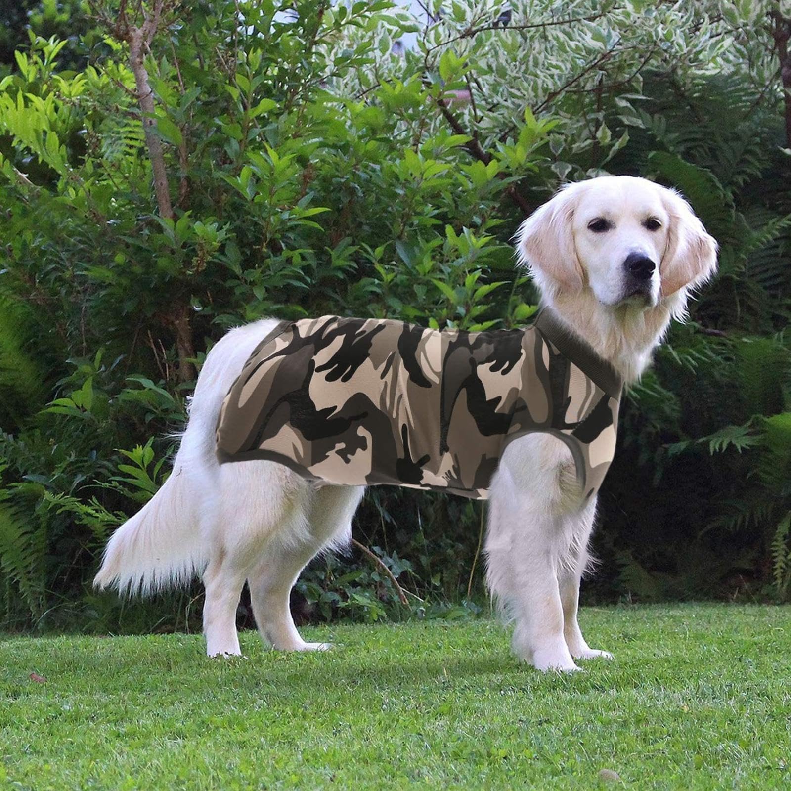 Kombinezon regeneracyjny dla psów - Rany Spryskiwanie Lekki nietrzymanie moczu Kombinezon regeneracyjny dla psów Kobieta - Onesie dla psa Kobieta -Vu01,Greencamouflage-L