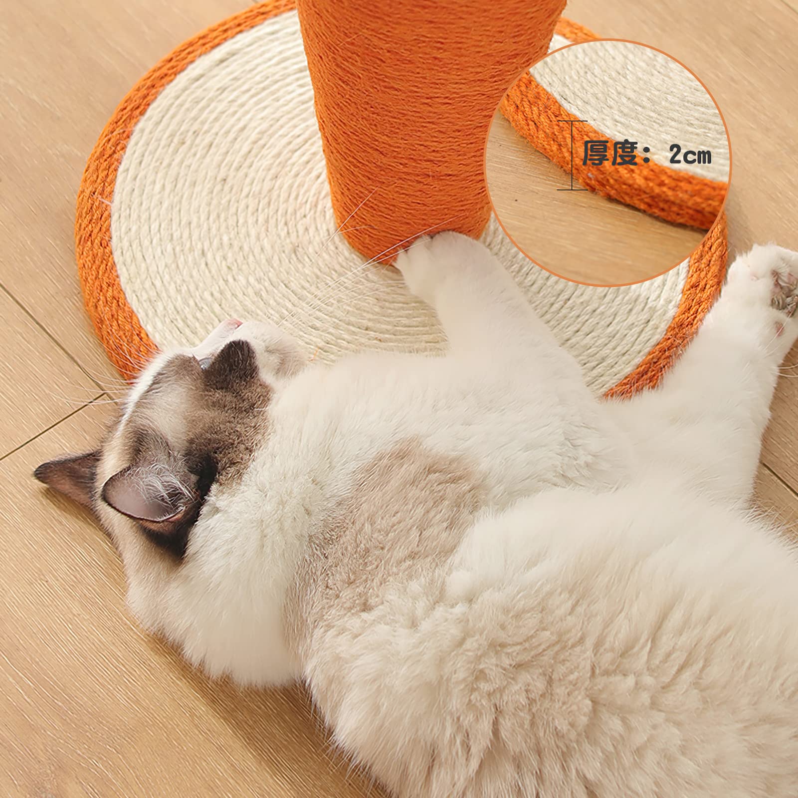 Galatée Griffoir pour Chat en Sisal - Poteau à Gratter Drôle pour Chats d'Intérieur avec Corde Naturelle (Carotte-2, M)