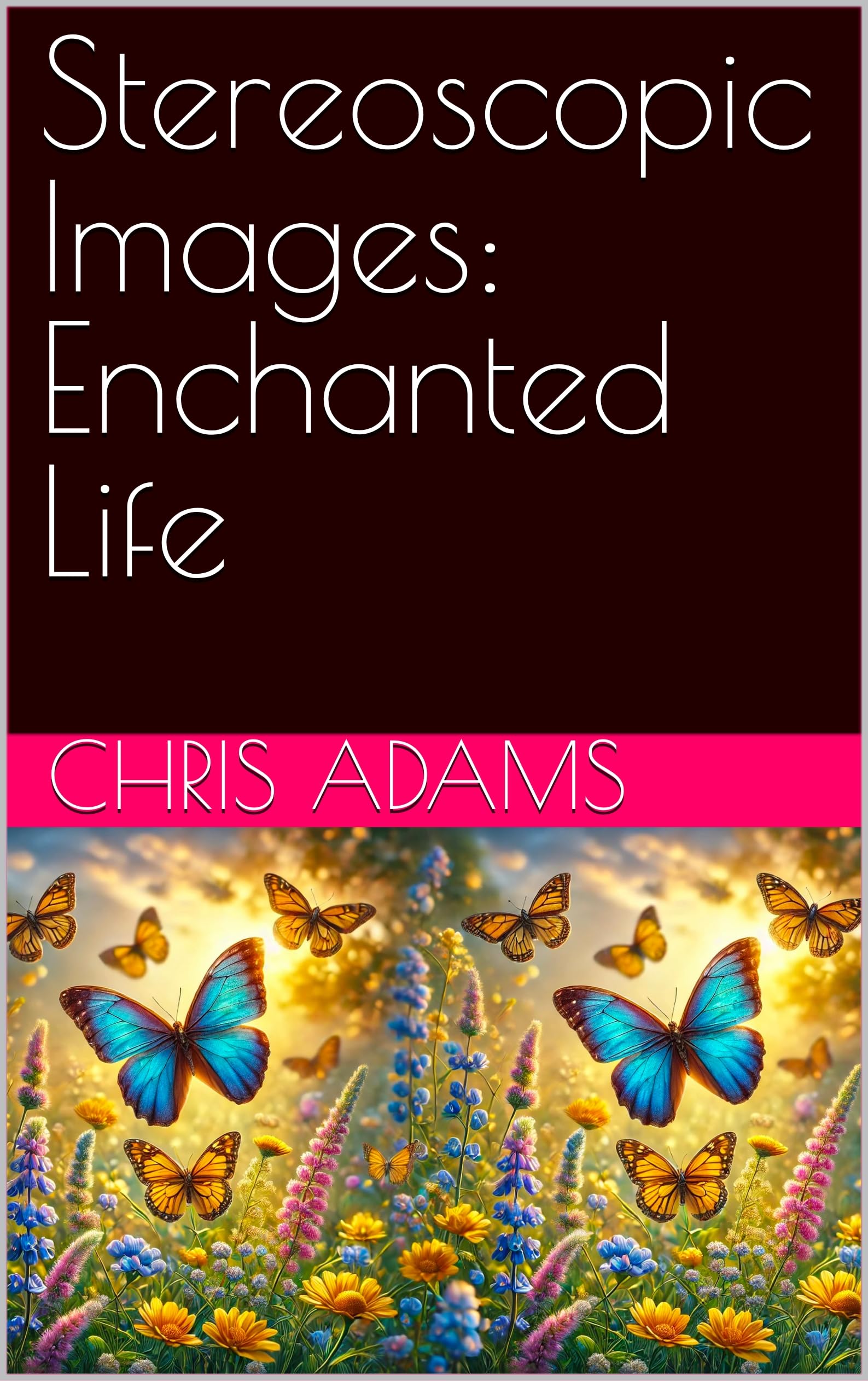 Images stéréoscopiques livre 3D Enchanted Life stéréogramme anglais