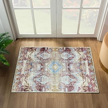 LUXE WEAVERS Non-Shedding Oriental Multi 2x3 Area Rug, Boho Chic Vintage Style Carpet