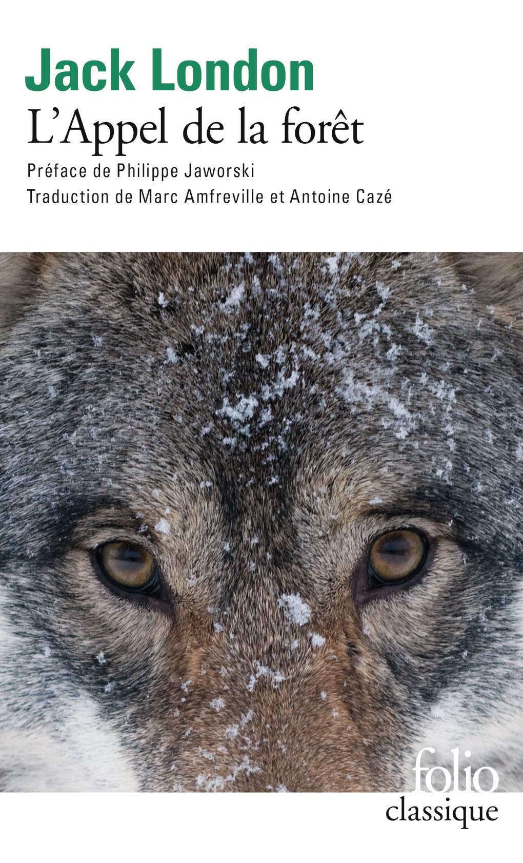 L'Appel de la Forêt (Folio Classique)