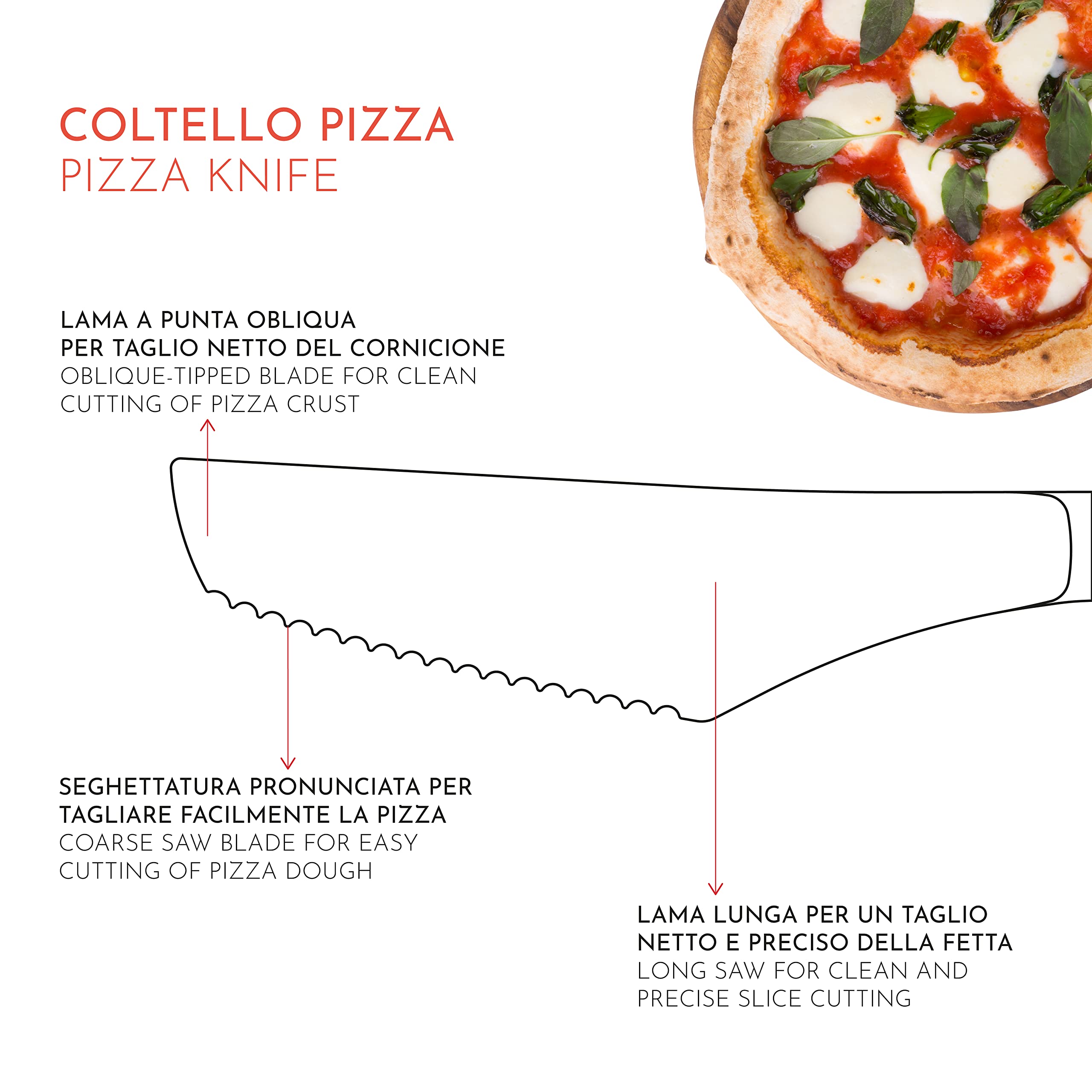 PINTINOX 12 Coltelli Pizza Lama Acciaio Inox Seghettata Manico Rivettato Cm 21