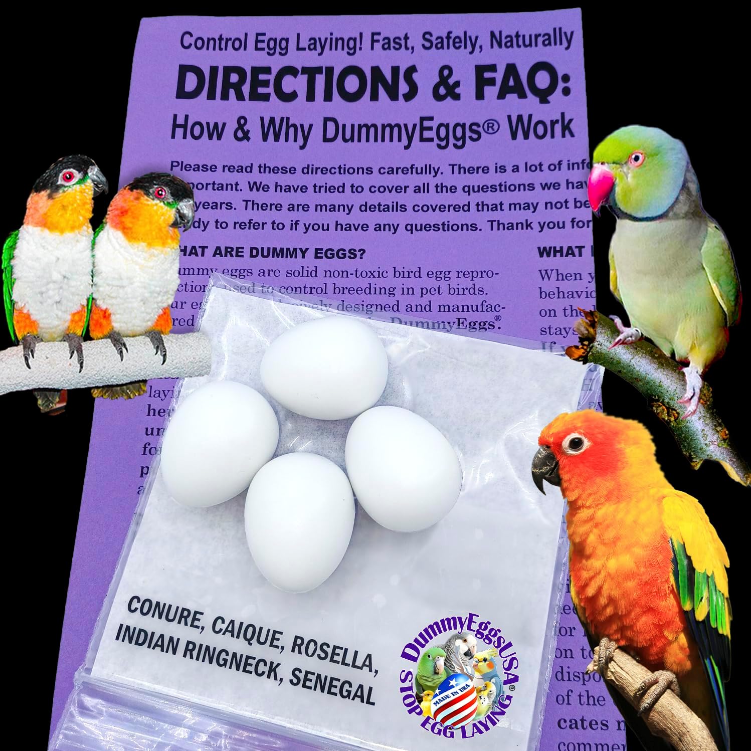 Plastic Small Parrot Stop Brooding Laying! 4 Solid Dummy Fake Non-Toxic White Realistic Eggs for Conure (not Green Cheek), Caique, Indian Ringneck DE Brand USA
