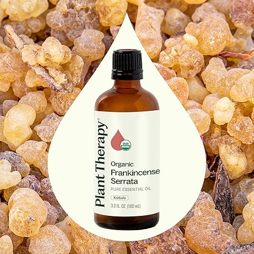 Miniatura 3 de Plant Therapy Aceite esencial de incienso orgánico de serrata 100% puro, certificado por USDA, orgánico, sin diluir, aromaterapia natural, grado