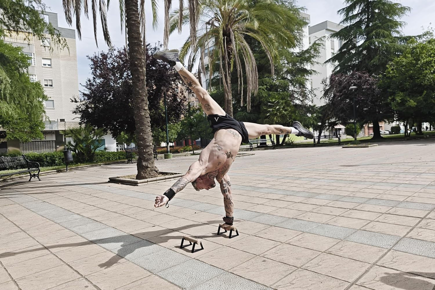 Barres Parallèles de Callisthénie Antlettes V2 en Bois et Acier | Parallettes Antidérapantes pour Pompes, Handstand, L-Sit et Équilibre | Entraînement à Domicile