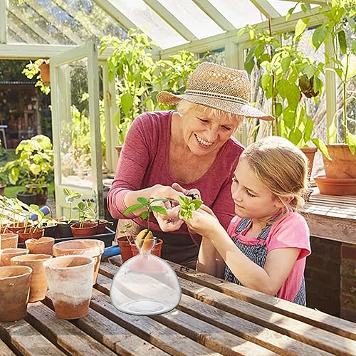 Miniatura 6 de Kit de cultivo de árbol de aguacate, jarrón de inicio de semillas de aguacate, maceta de vidrio con calcomanías de aguacate, regalos de jardinería