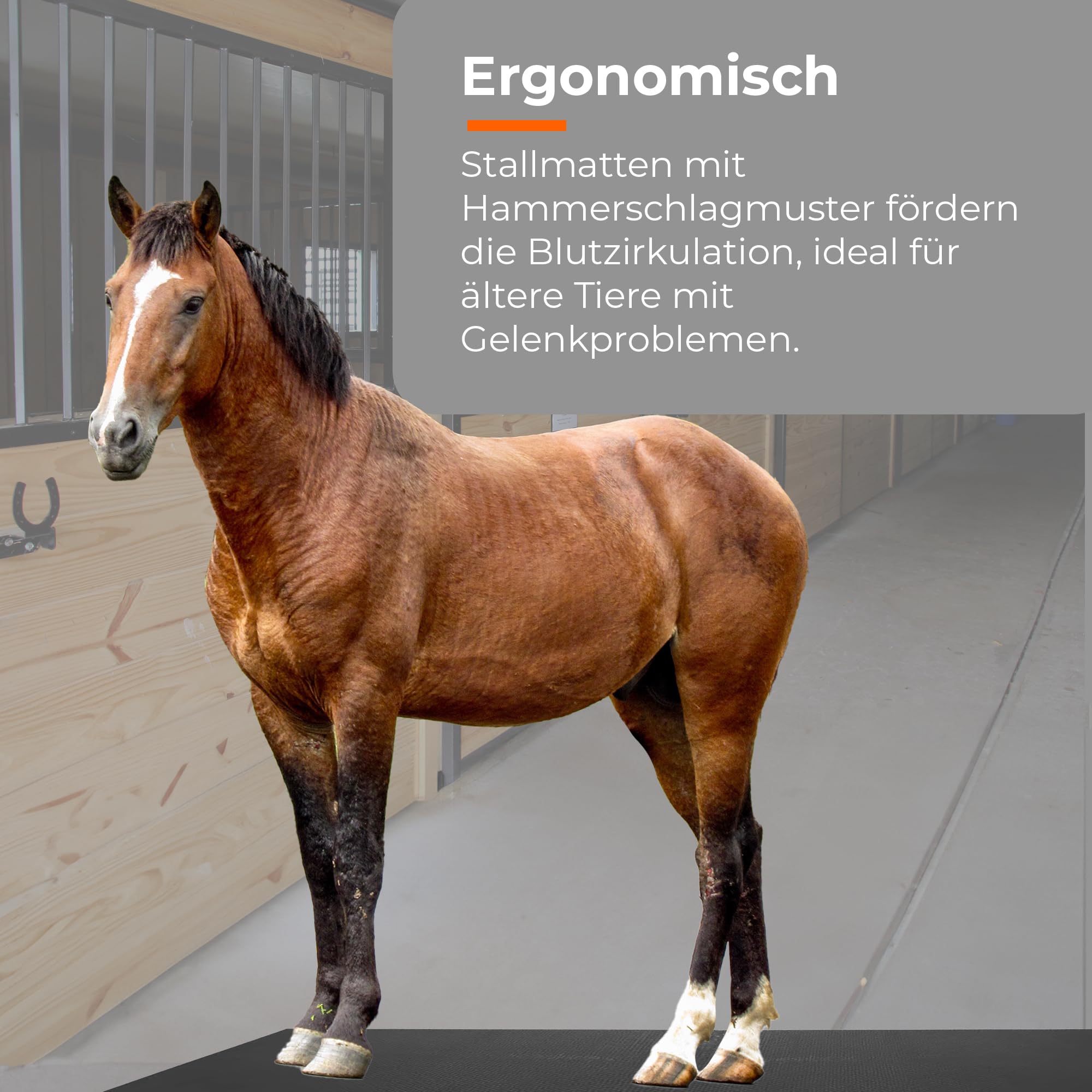 Vivol Gummi Stallmatten 122x183cm - 10mm - Pferdestallmatten mit rutschfesten Noppen - Gummimatten Boden - Gummi Matte fur Pferde Einfaches Verlegen und Zuschneidbar