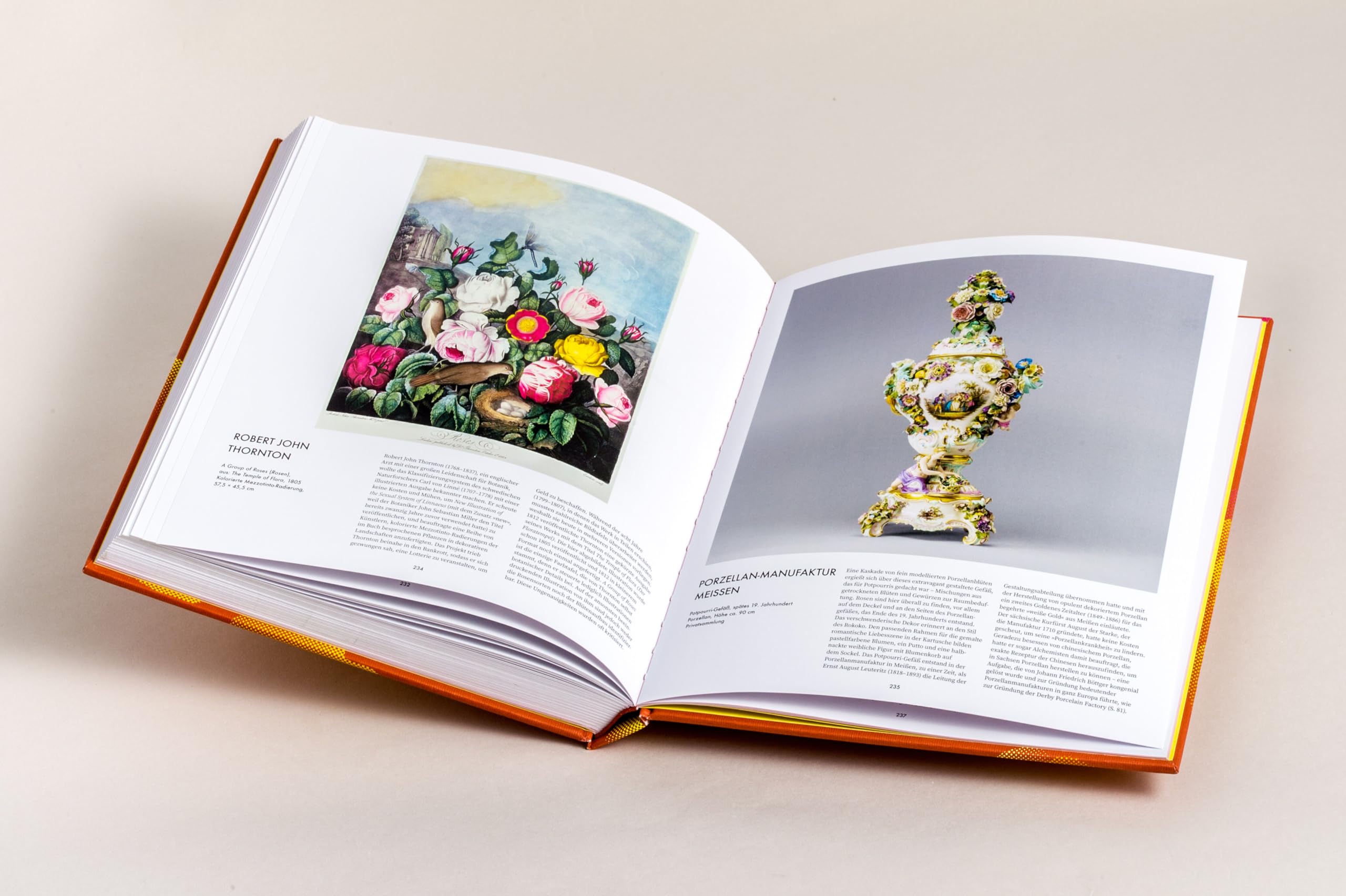 Die Rose: in Fotografie, Grafik, Kunst, Kunsthandwerk und Mode - Opulenter Bildband mit über 200 Rosendarstellungen - ein Muss für alle Rosenfans, Deutscher Gartenbuchpreis Gold (2026)