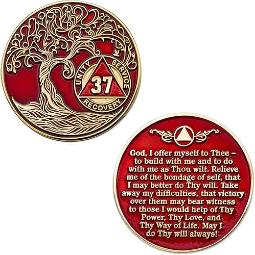 Miniatura 178 de 17 años Sobriety Mint Twisted Tree of Life - Medallón de recuperación AA/NA chapado en oro, fichas y fichas, color blanco