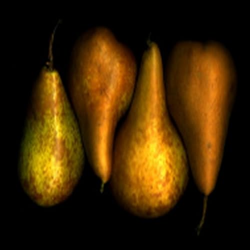 Peach Bread Pudding - //medicalbooks.filipinodoctors.org