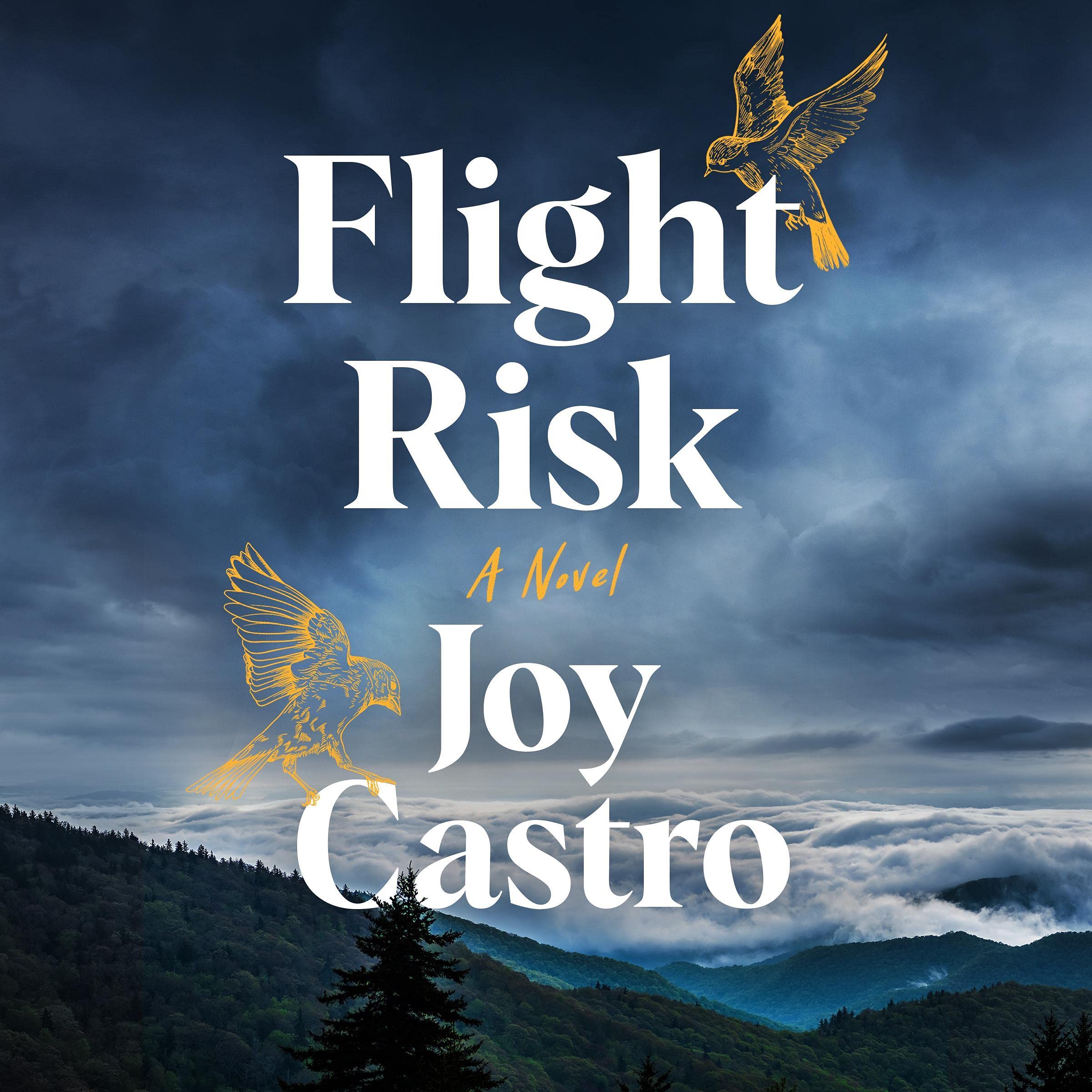 Cover art for Flight Risk