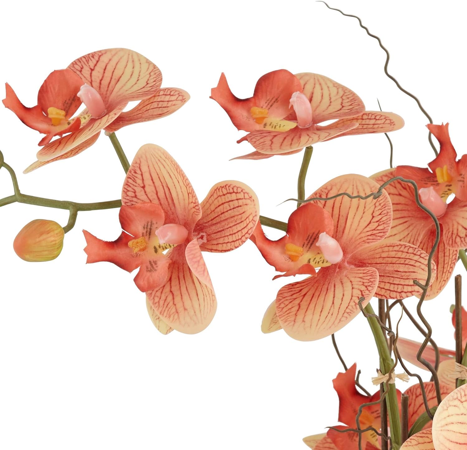 Studio 55D Orange Orchid Flower 22 1/2" High Faux Floral in Gray Ceramic Pot for Home Cottage Core Decor Table-Top Shelf Counter-Top Living Room Bedroom Bathroom Decoration Artificial Fabric Citrus