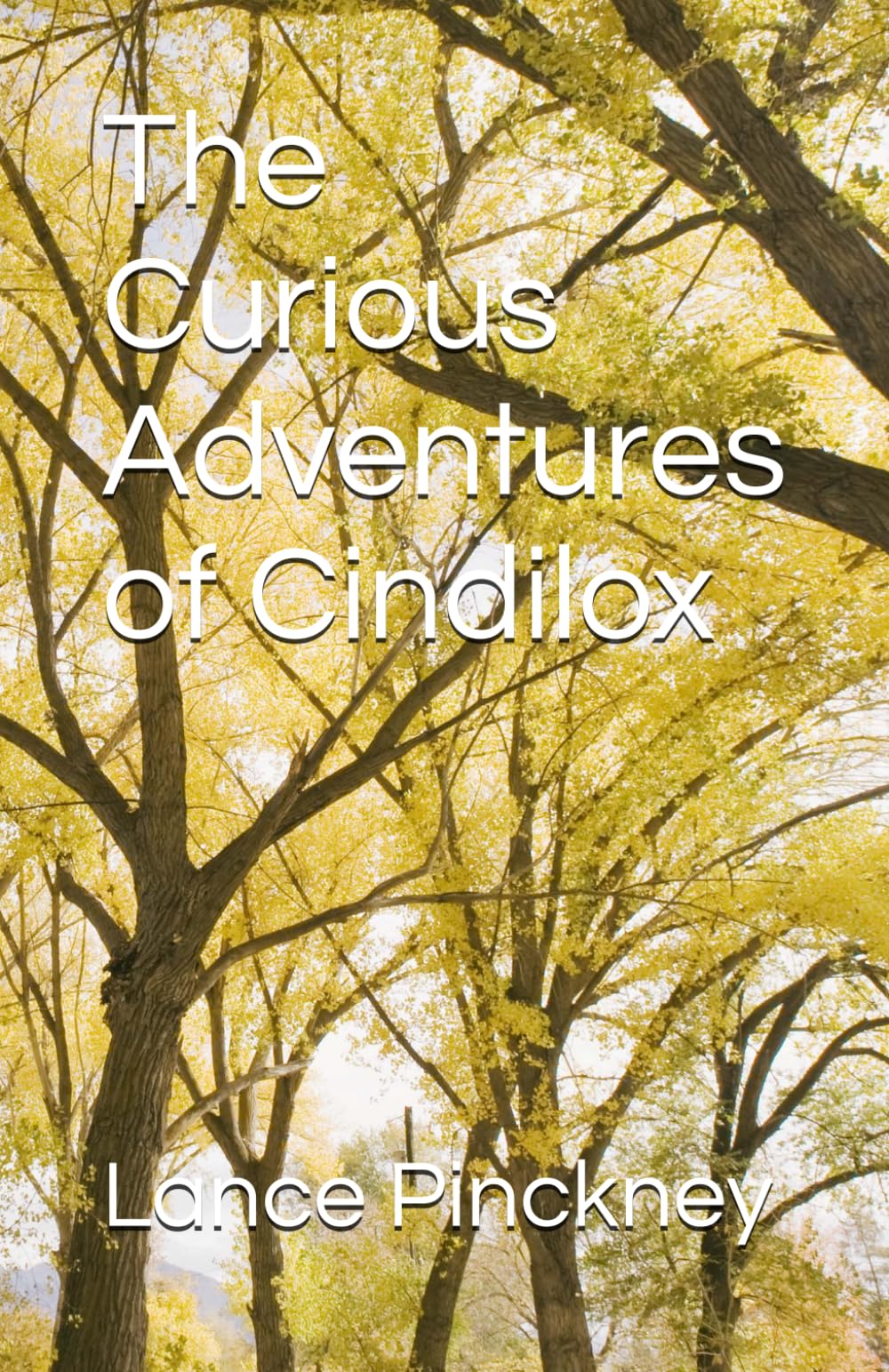 The Curious Adventures of Cindilox