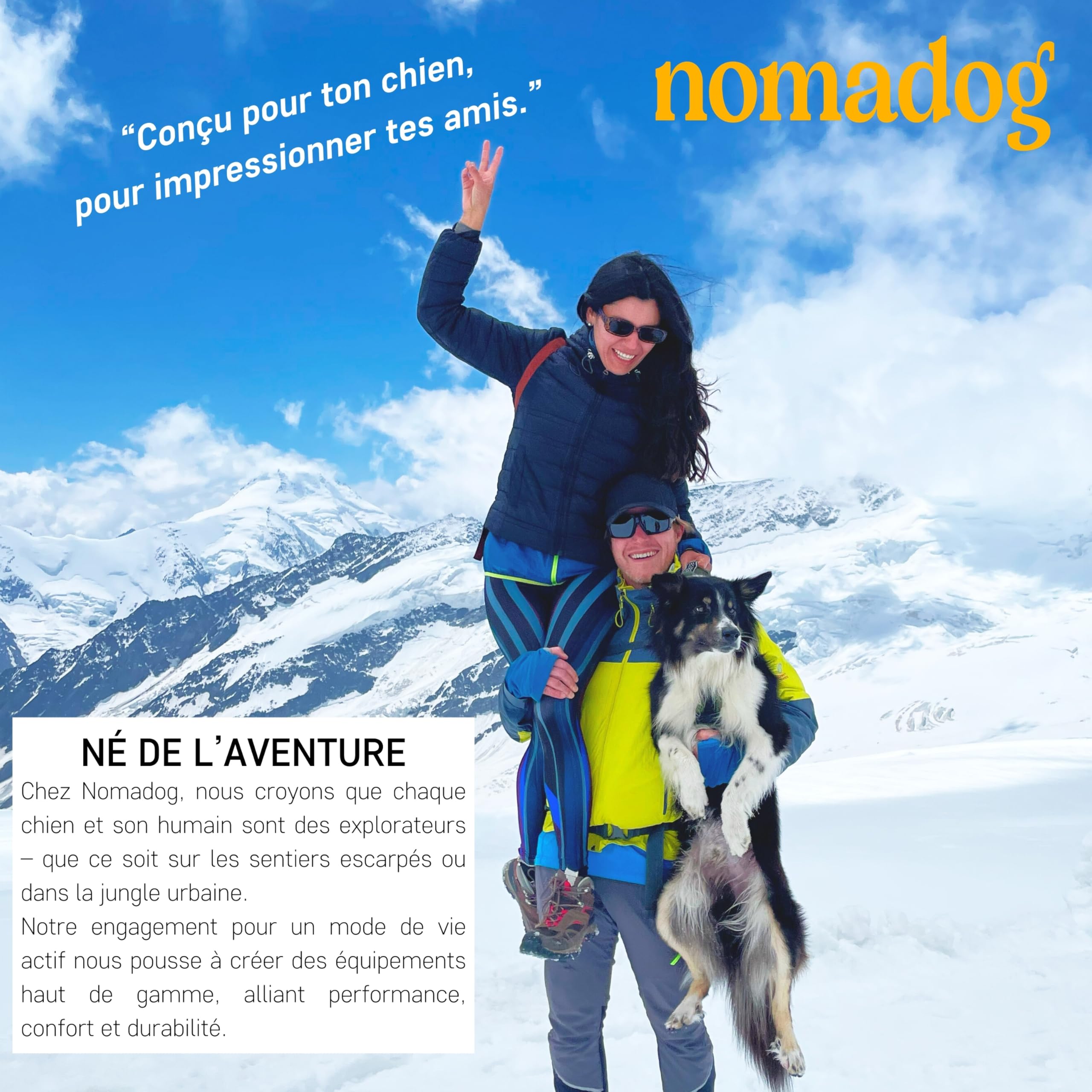 Nomadog Trailblazer Collier Chien avec Poignée pour Gros Chien - Durable, Réglable, Rembourré, Boucle en Aluminium Premium - Collier Tactique (XL)