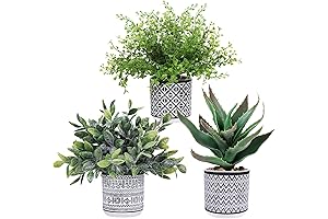 Winlyn Faux Eucalyptus Boxwood Plants Aloe Succulent Plant