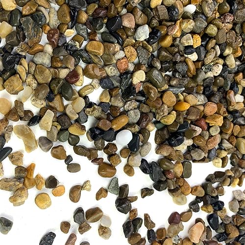 Miniatura 7 de FANTIAN Guijarros de grava natural para acuario, grava de guisantes de 14 de pulgada para pecera, rocas decorativas de río para suculentas, rellenos