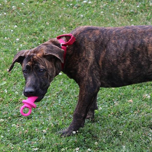 Miniatura 11 de Ethical Puppy - Chupete de látex para perros de 4 pulgadas, los colores pueden variar de razas pequeñas